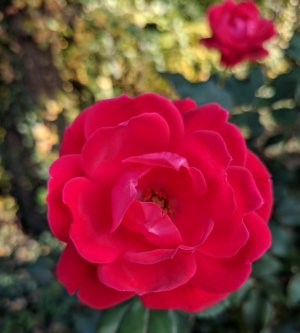 IMG_20171103_214817_504.jpg