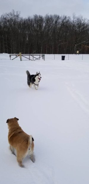 20180113_162920(0).jpg