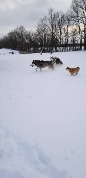 20180113_162823.jpg