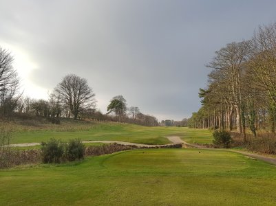 20180114_112458-01.jpg