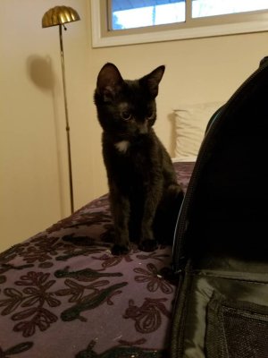20180113_170442.jpg