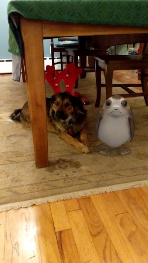 IMG_20171216_210734.jpg