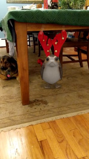 IMG_20171216_211047.jpg