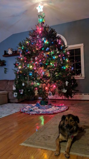IMG_20171216_225116.jpg