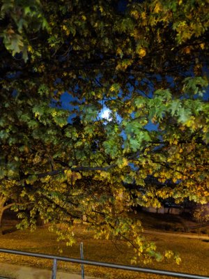 MVIMG_20171103_195554.jpg