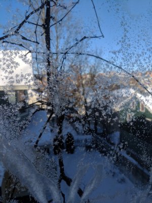 IMG_20180101_094500 - Copy.jpg