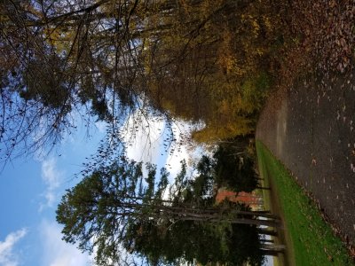 20171105_142035.jpg