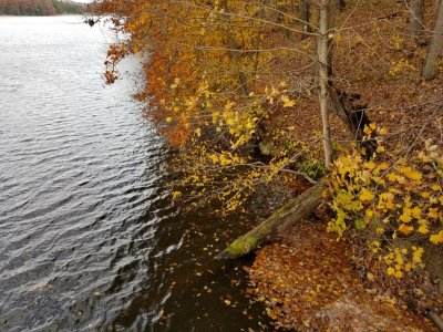 20171105_142523.jpg