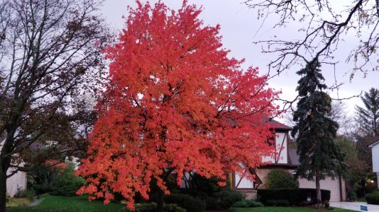 20171105_172130.jpg