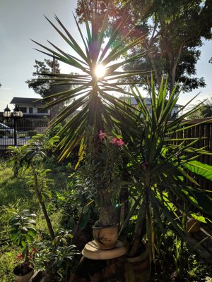 MVIMG_20171216_073247.jpg