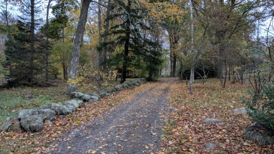 IMG_20171106_150846.jpg