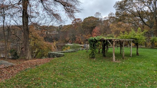 IMG_20171106_151226.jpg