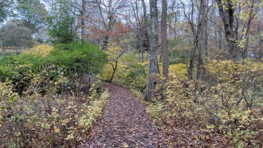 IMG_20171106_151636.jpg