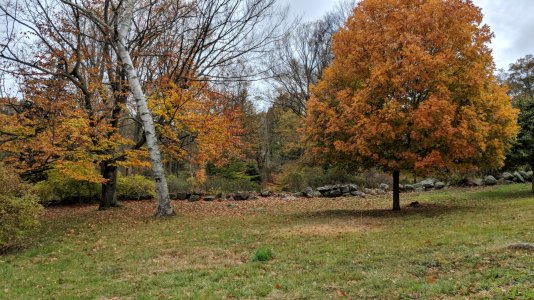IMG_20171106_151918.jpg