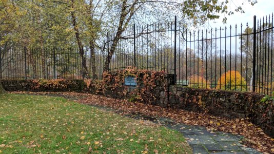 MVIMG_20171106_150408.jpg