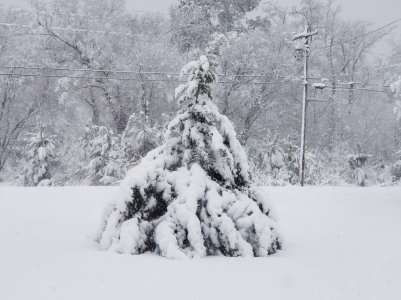 20180117_150946.jpg