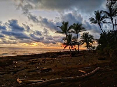 MVIMG_20171214_173528-01.jpg