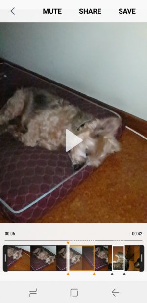Screenshot_20180120-084150.jpg