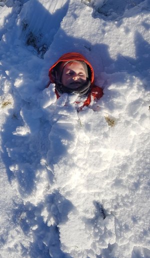 20180120_120250-01.jpg