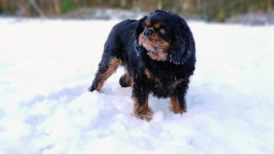 20180120_124605~2.jpg