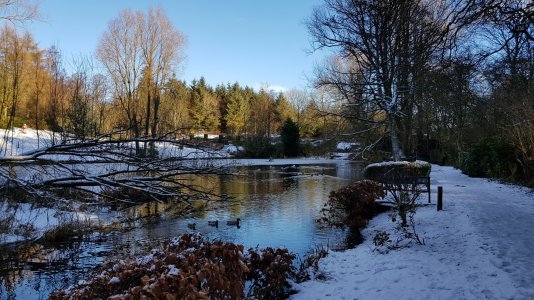 20180120_124950.jpg