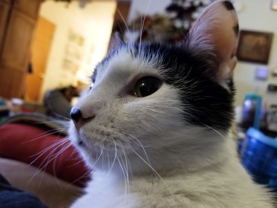 20171105_184510-small.jpg