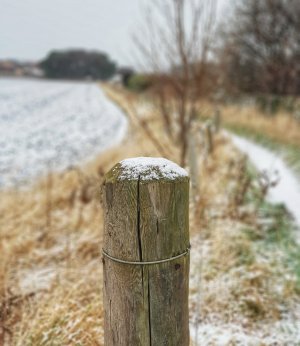 20180121_141750-01.jpg