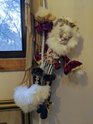 IMG_20171221_122843.jpg