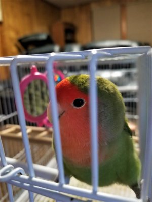 20171221_185911.jpg