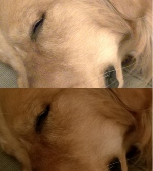 Compare.jpg