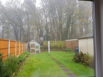 20171111_084336.jpg