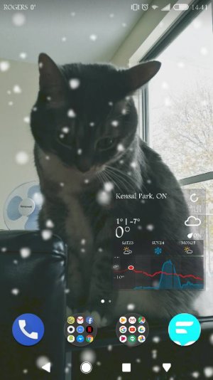 33837.jpg