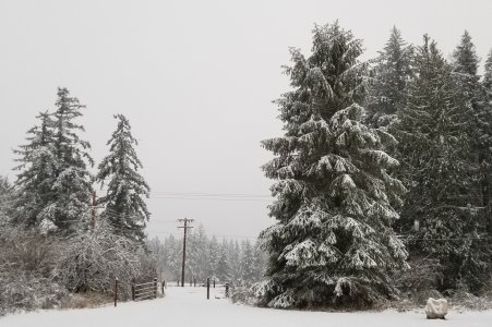 20171225_080656-01.jpg
