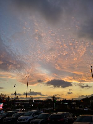 IMG_20171101_163514.jpg