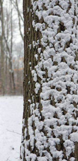 20171230_114337_1514652241105.jpeg