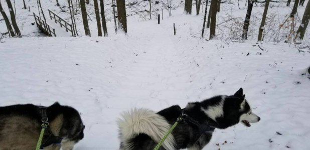 20171230_114026_1514652033991.jpeg