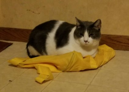 20171230_182645.jpg