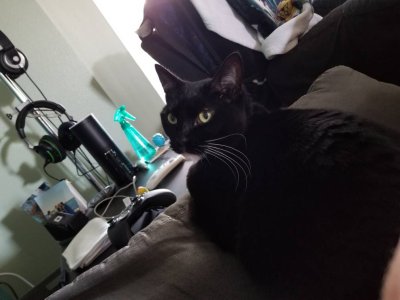 20171231_105808.jpg