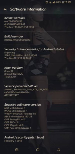 Screenshot_20180202-173902_Settings.jpg