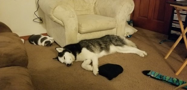 20180101_064725.jpg