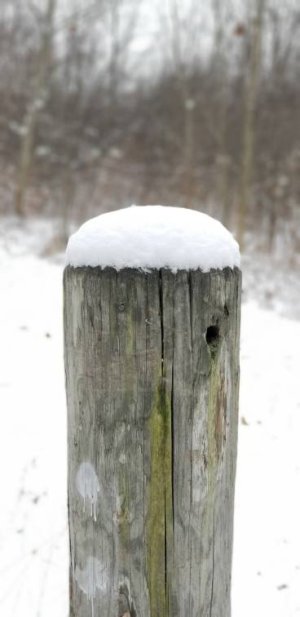 20171230_115333-1470x3024.jpg