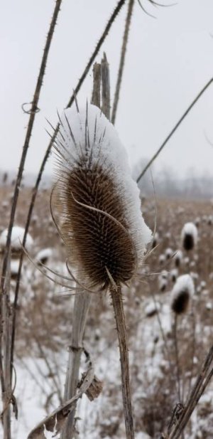 20171230_115548-1470x3024.jpg