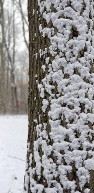 20171230_114337-1470x3024.jpg