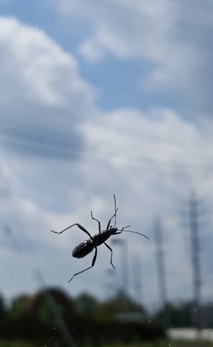 20180102_115213.jpg