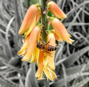 IMG_20171107_145245994.jpg