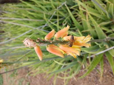 IMG_20171107_145209970_DEPTH.jpg