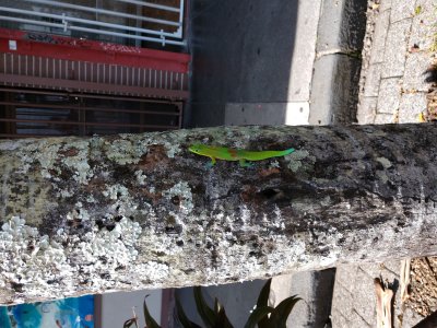 IMG_20171112_104657854.jpg