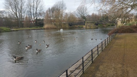 20180204_140844.jpg