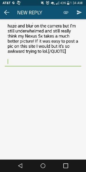43685.jpg