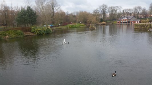 20180204_140955.jpg